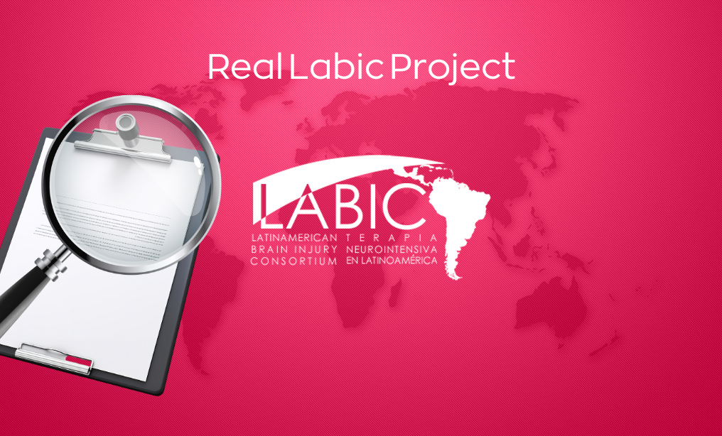 REAL LABIC PROJECT
